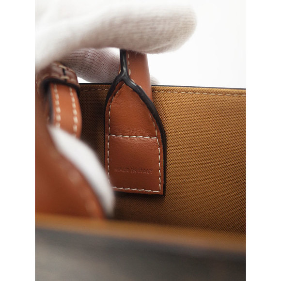 Celine Triomphe Canvas Mini Vertical 2way Bag Tan - Picture 5 of 9